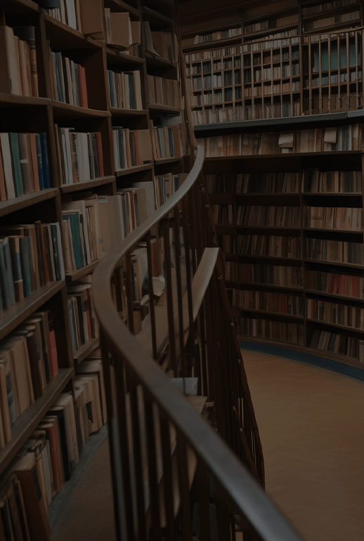 Undergraduate Foundation

Programs