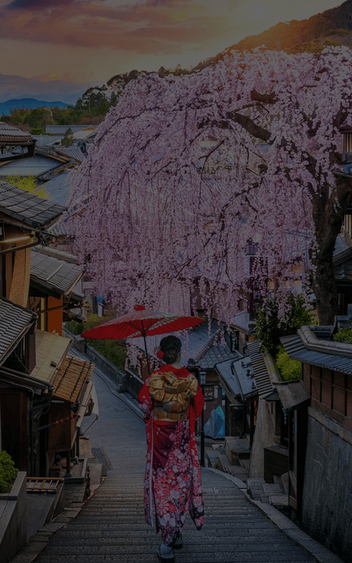 Educational Travel Programs in Japan