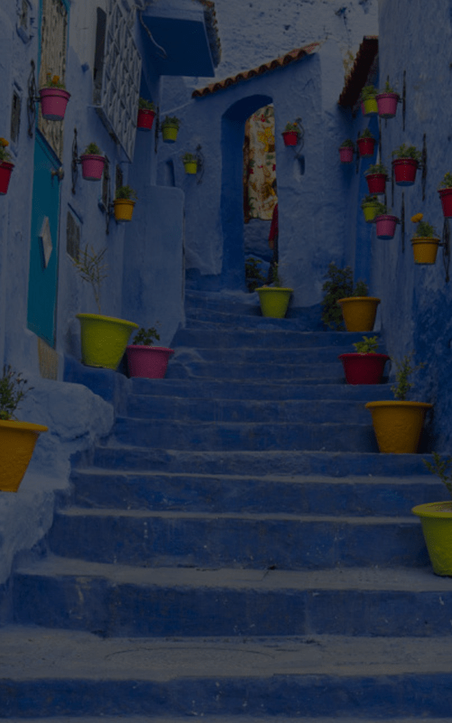 Educational Travel Programs in Morocco